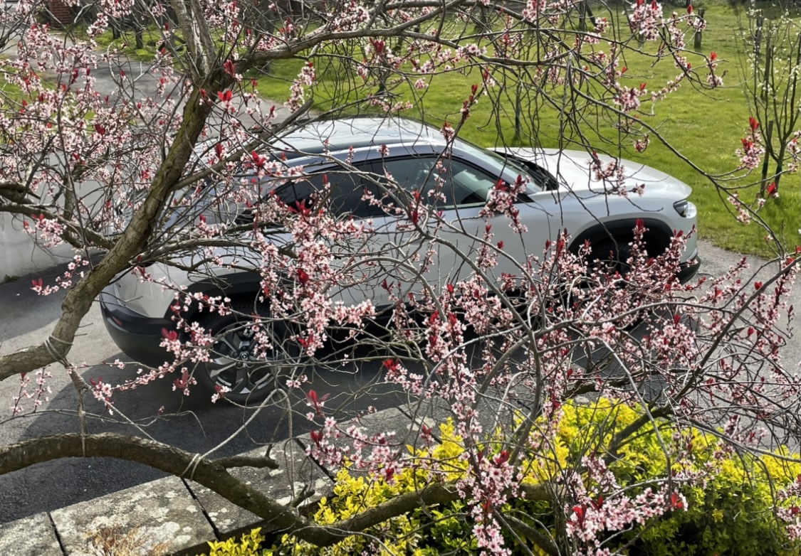 Car-Porn