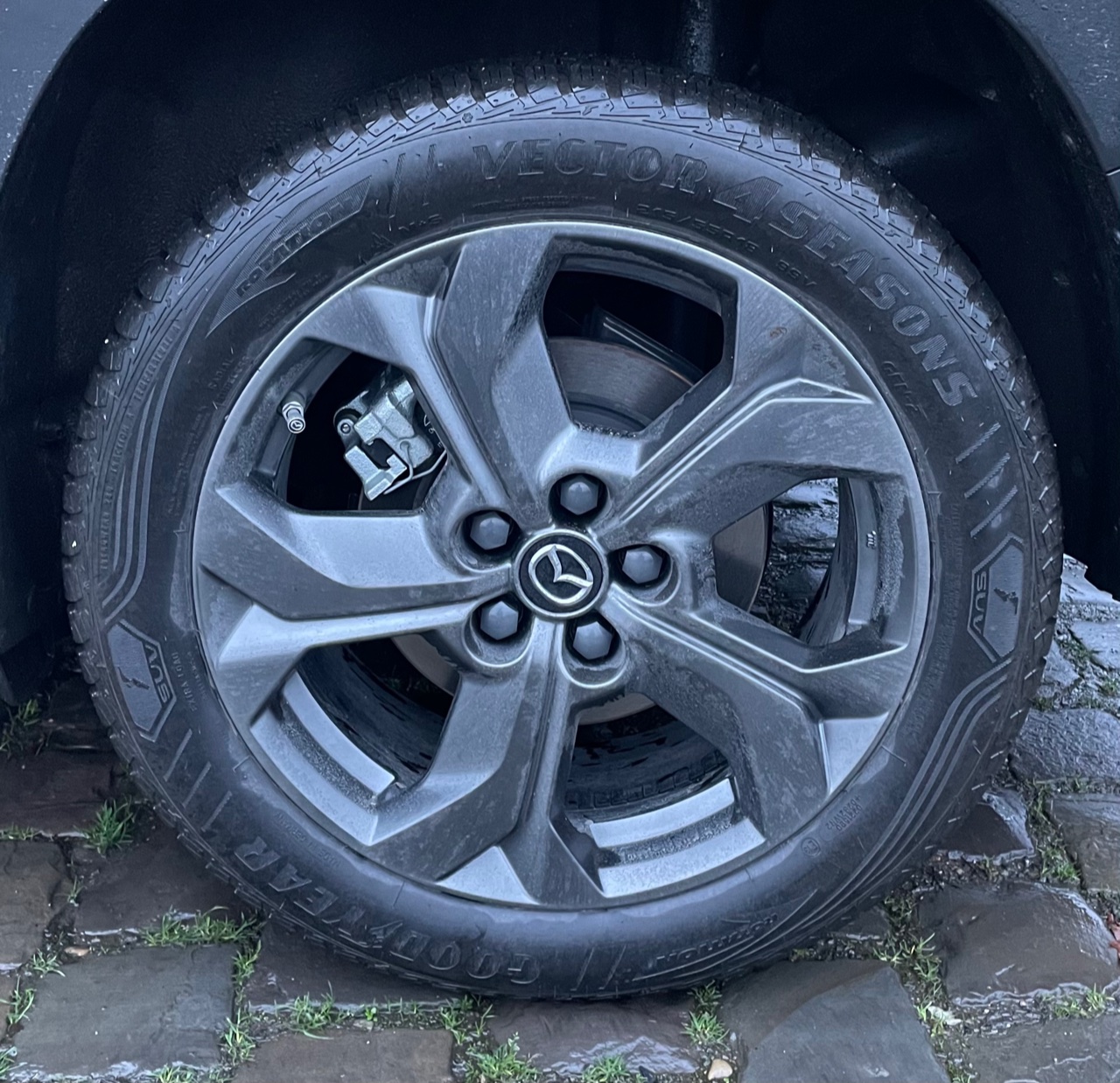Schraubenabdeckung